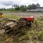 laju pertumbuhan ekonomi yogyakarta, data pertumbuhan ekonomi yogyakarta, pertumbuhan pertanian yogyakarta, panen raya pertanian yogyakarta, laju ekonomi kwartal pertama 2013