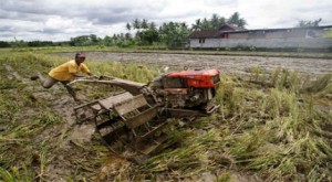 laju pertumbuhan ekonomi yogyakarta, data pertumbuhan ekonomi yogyakarta, pertumbuhan pertanian yogyakarta, panen raya pertanian yogyakarta, laju ekonomi kwartal pertama 2013